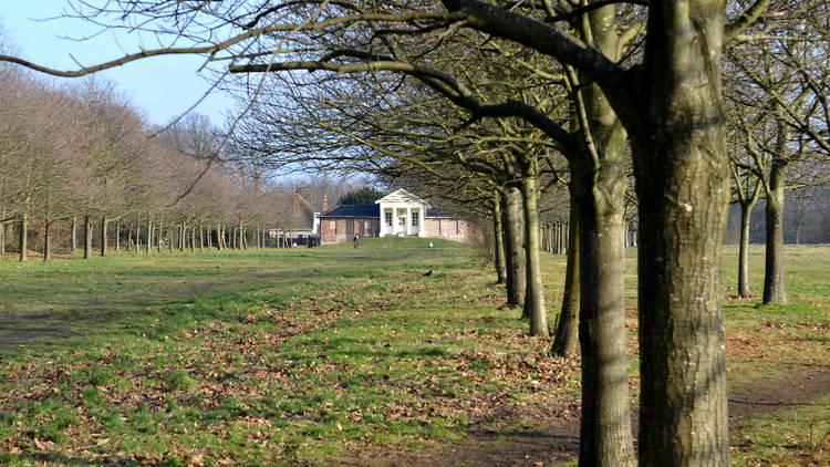 Temple Garden Wanstead Park 2015