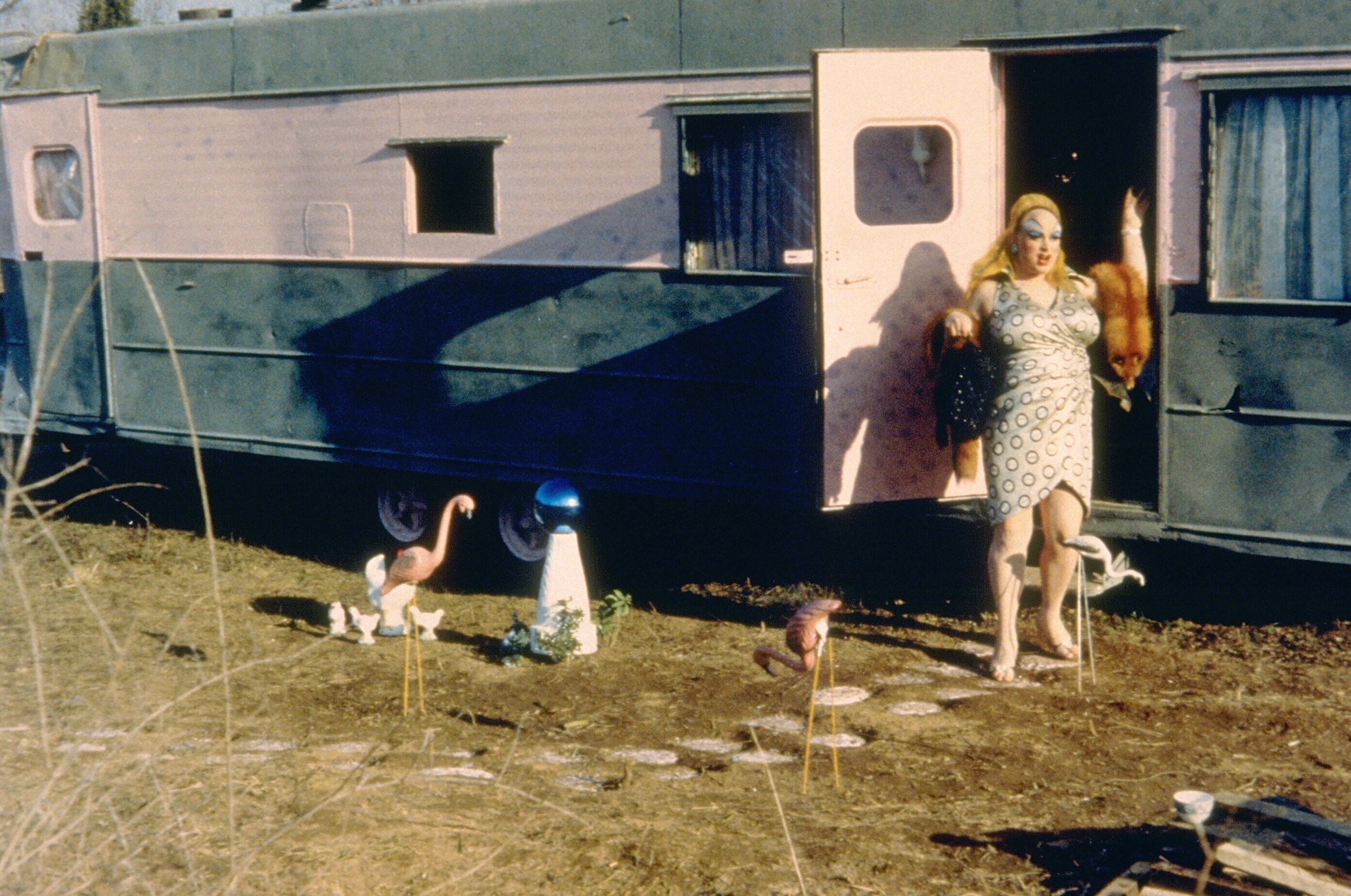 Pink Flamingos 1972 Directed By John Waters Film Review