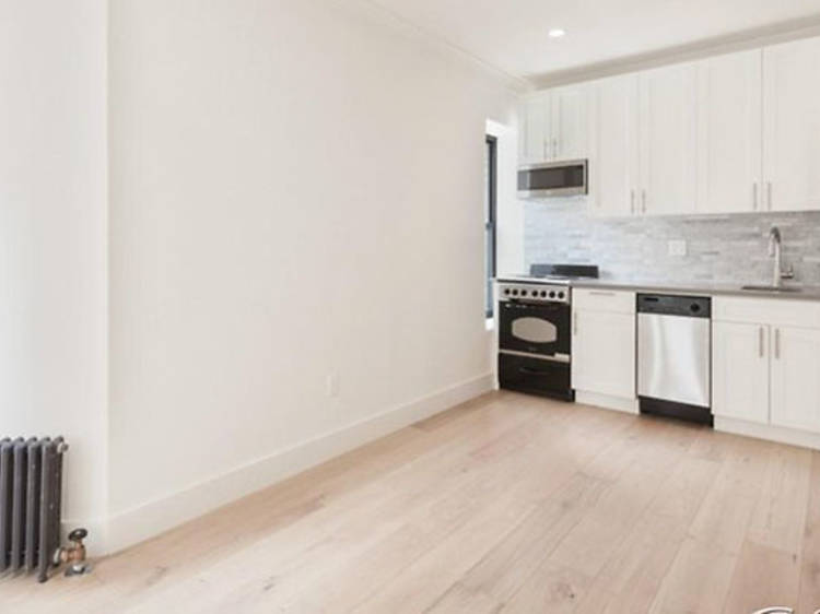 The five best affordable apartments in NYC (week of November 17)