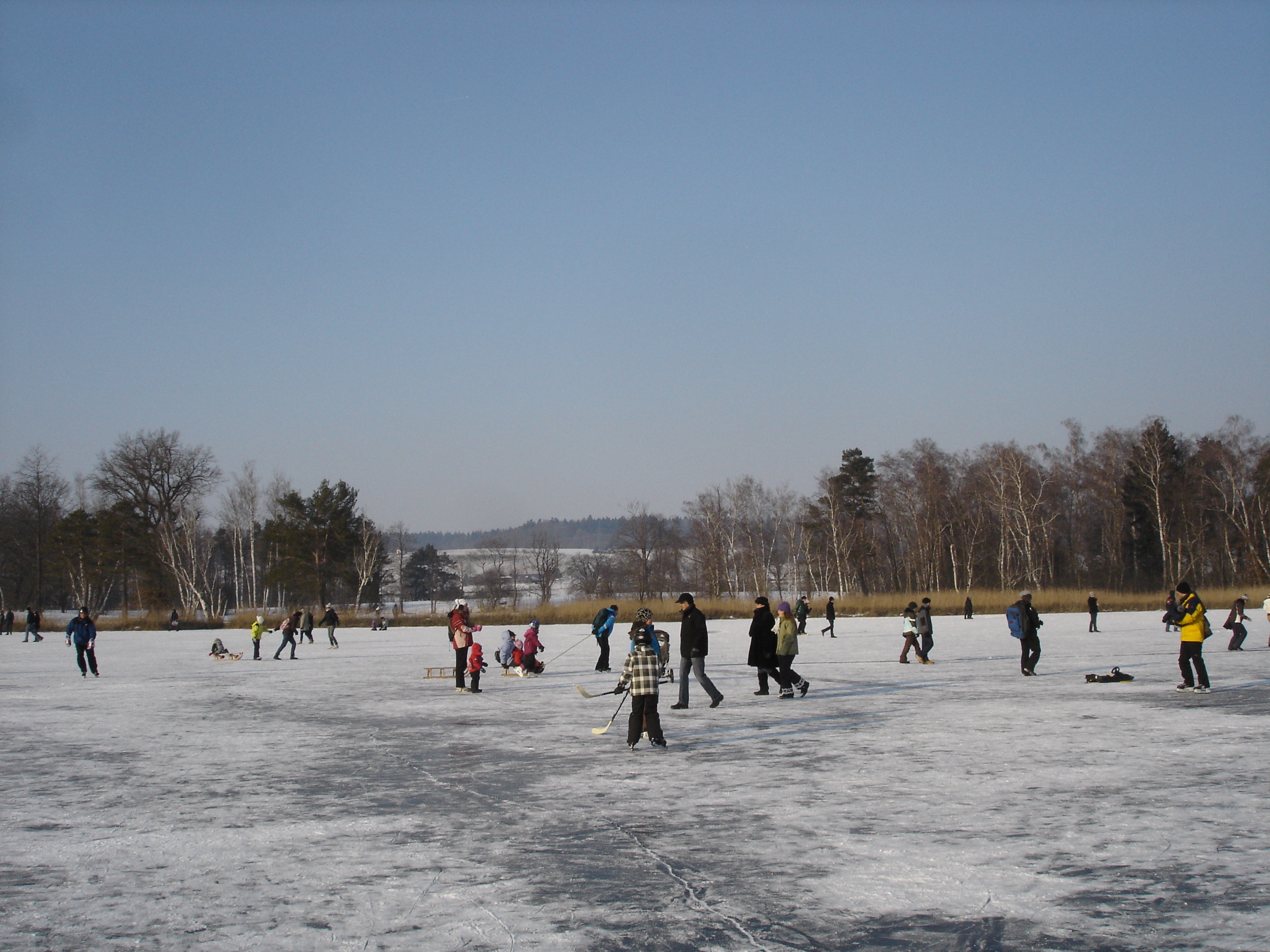 Best ice skating Switzerland Time Out