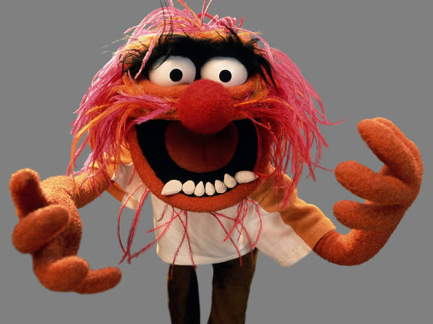 Animal Animal en The Muppets