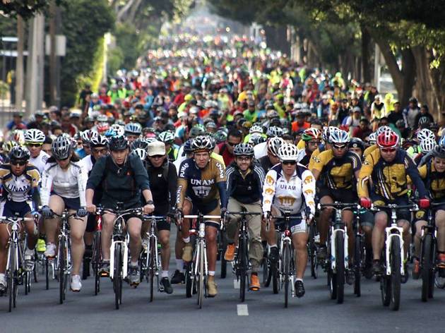 Bike Friendly Bike Friendly
