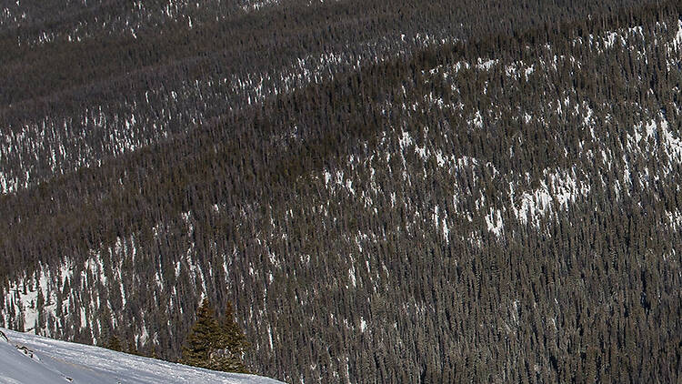 Arapahoe Basin