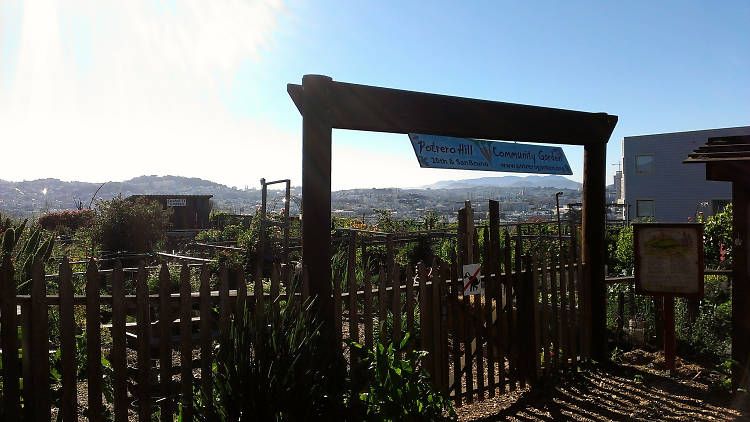 Potrero Hill Community Garden