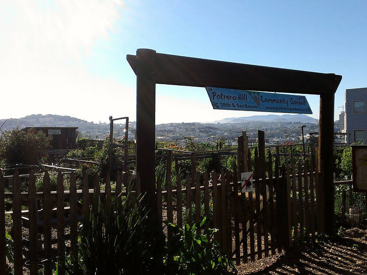 Potrero Hill Community Garden