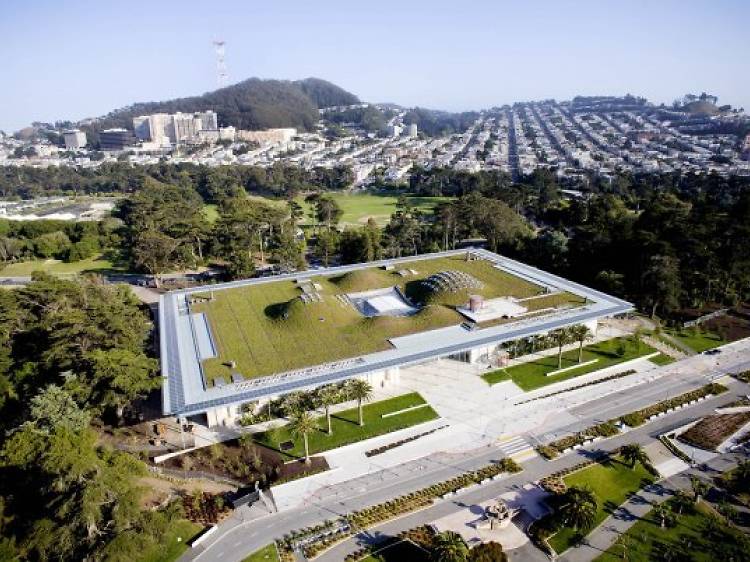 California Academy of Sciences Living Rooftop