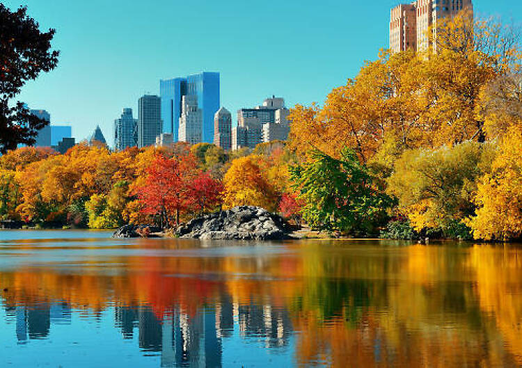 32 things New Yorkers should be thankful for