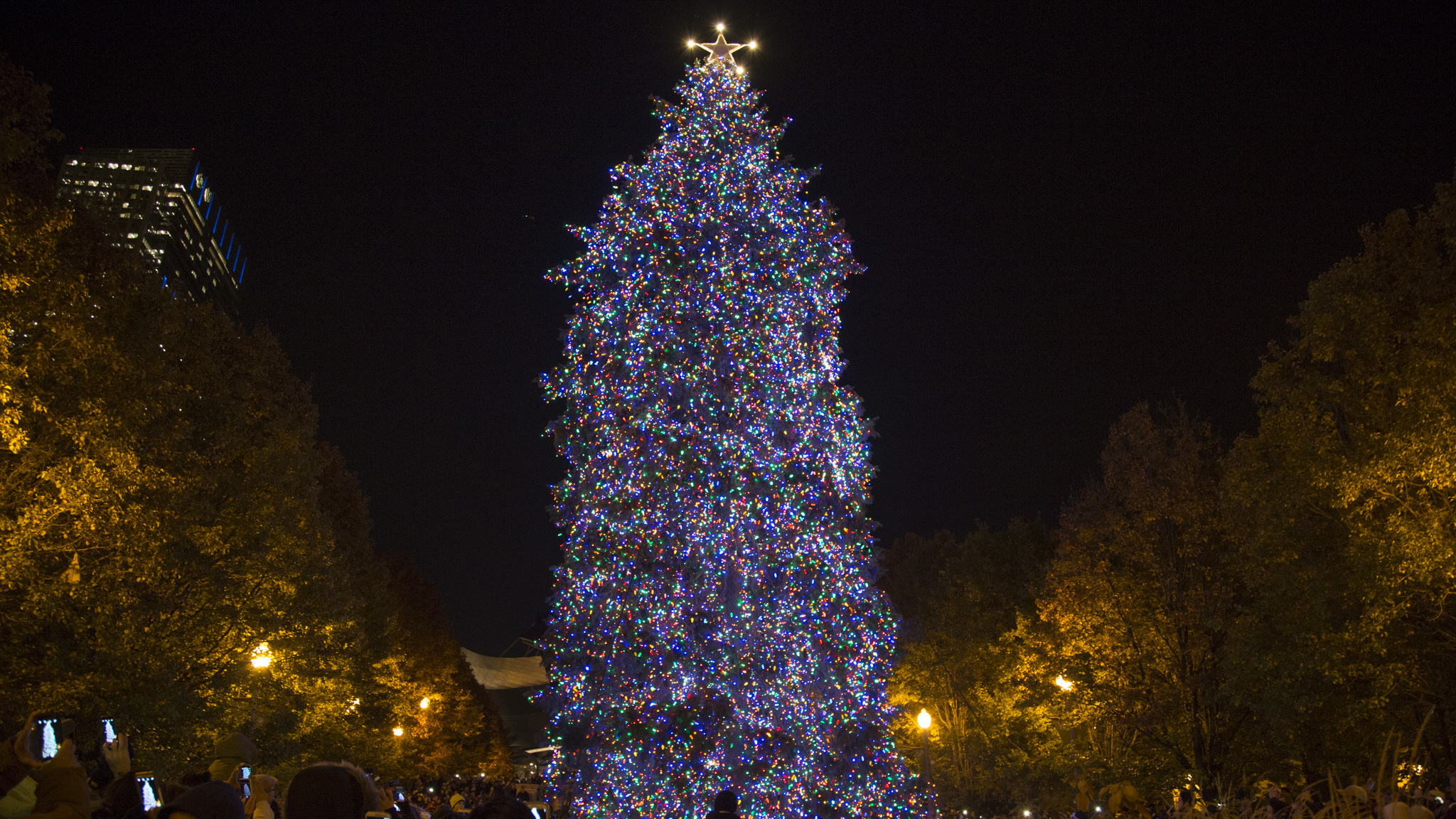 Photos from the 2015 Chicago Christmas Tree lighting ceremony