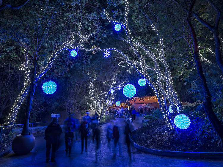 LA Zoo Lights