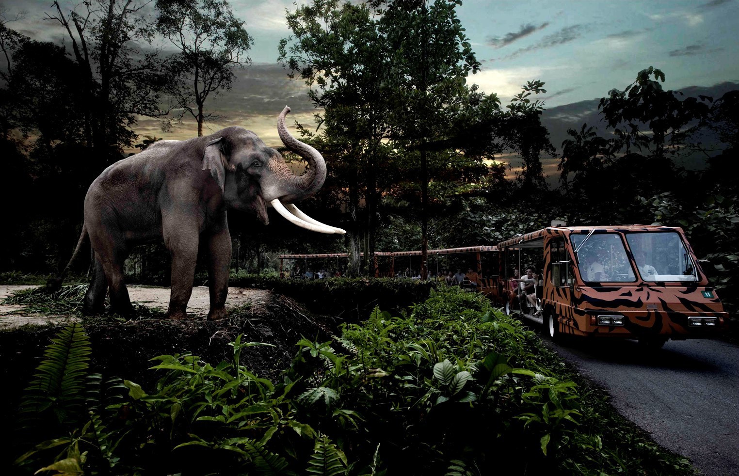 price of night safari in singapore