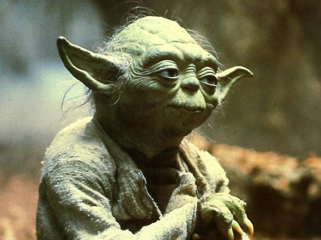 Yoda Yoda