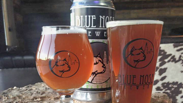 Blue Nose Brewing