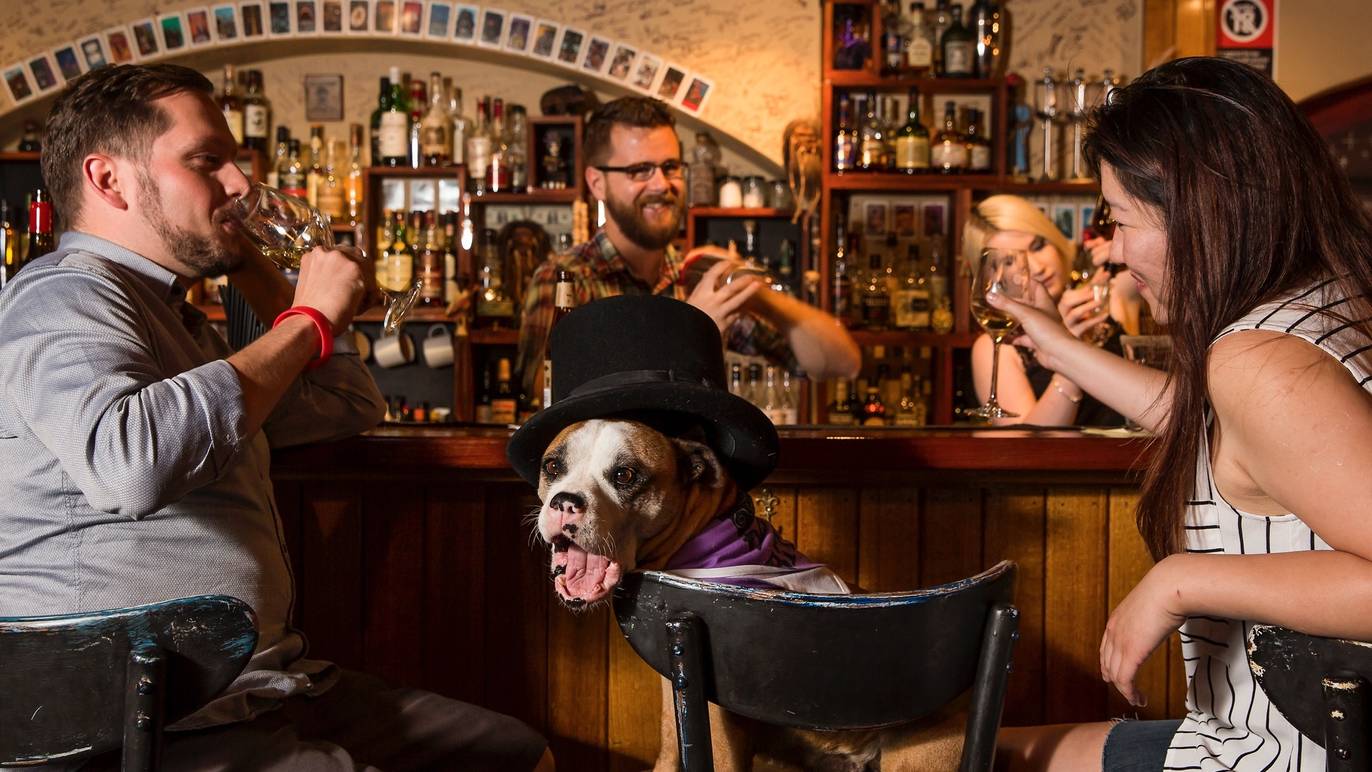 101 Fun Things to Do in Sydney Indoors Sydney Activities