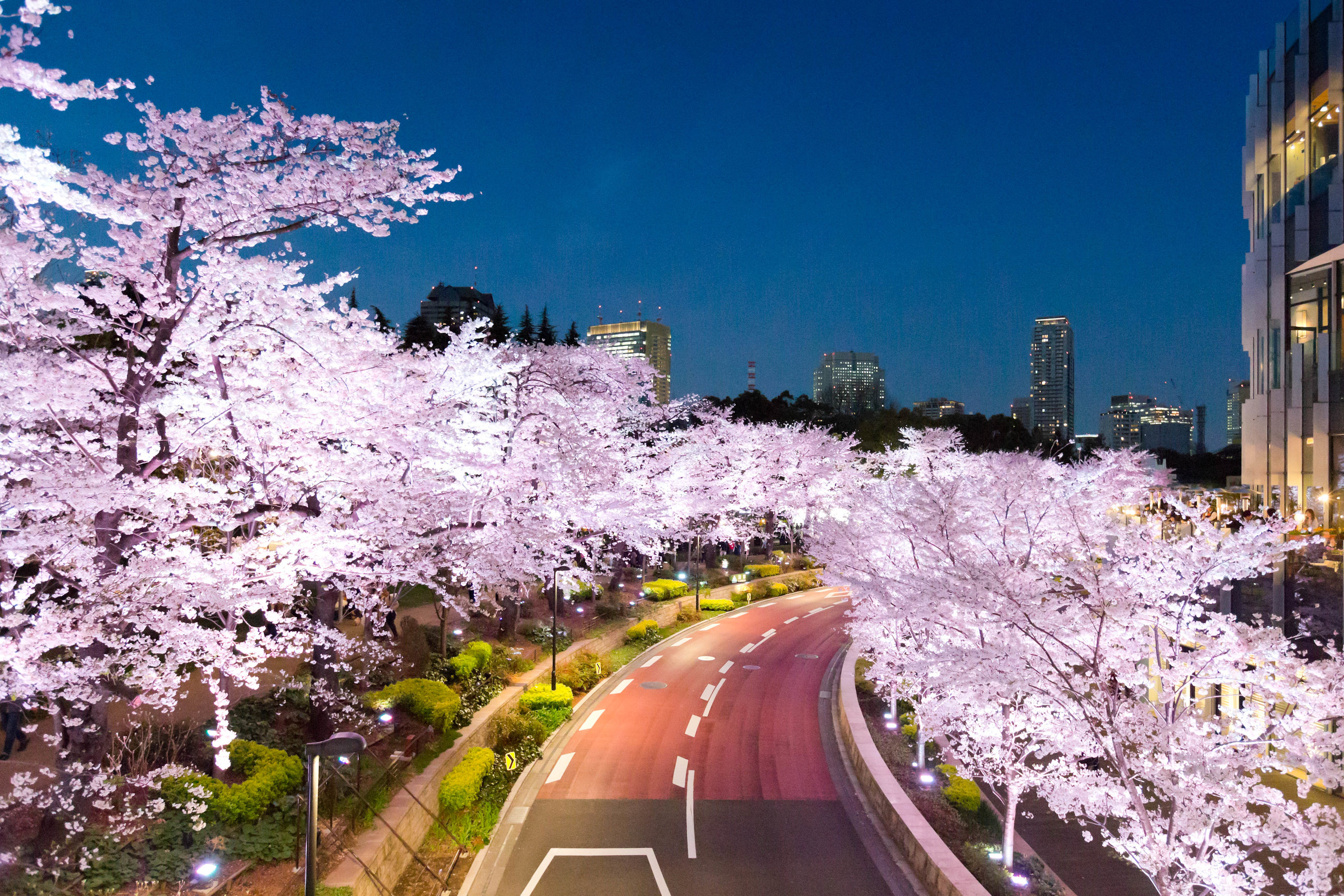 Time Out Tokyo | The best things to do in Tokyo