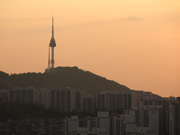 응봉산 응봉산