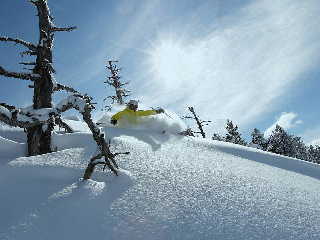 Salomon Quest Challenge Salomon Quest Challenge