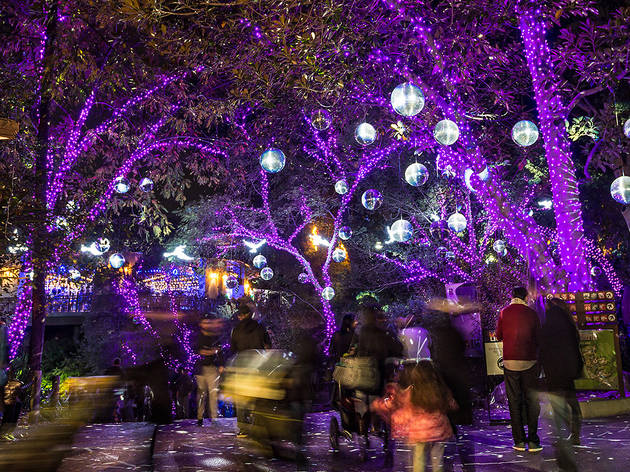 christmas zoo lights