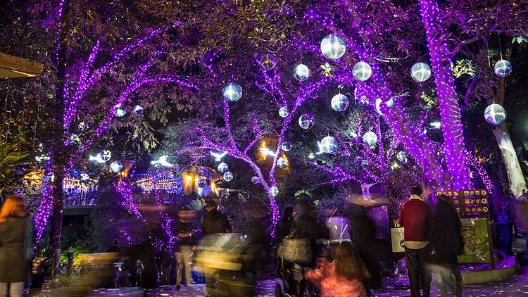 L.A. Zoo Lights