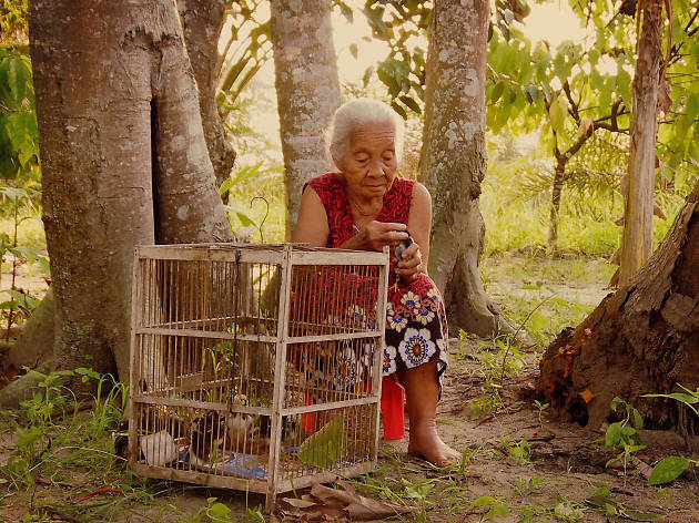 The Look of Silence The Look of Silence