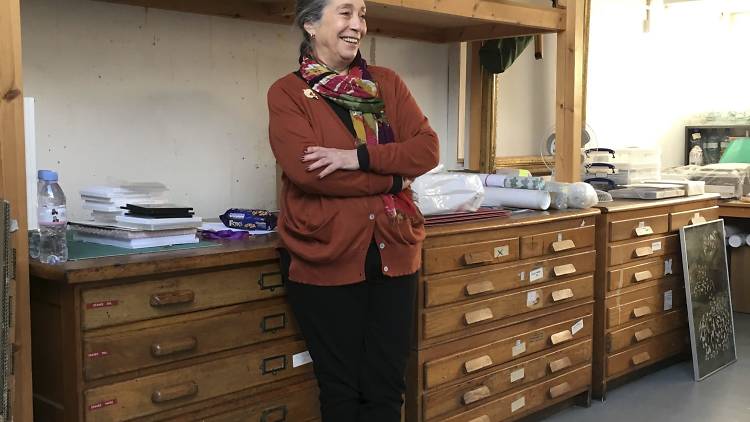 Portrait of Susan Hiller in her studio. Photo: Freire Barnes