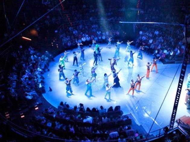 ¿Y si nos vamos al circo? ¿Y si nos vamos al circo?