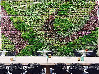 Cactus Moon Bar - Urban Grill Cactus Moon Bar - Urban Grill