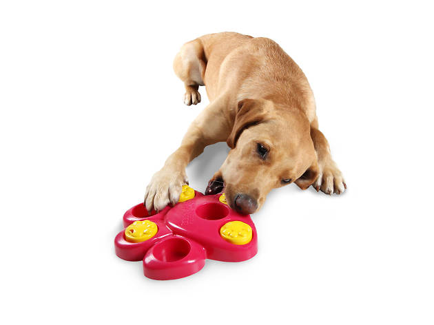 La Kroketeria Juguetes para perros