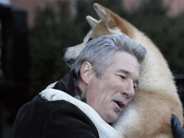 Siempre a tu lado hachiko Siempre a tu lado hachiko