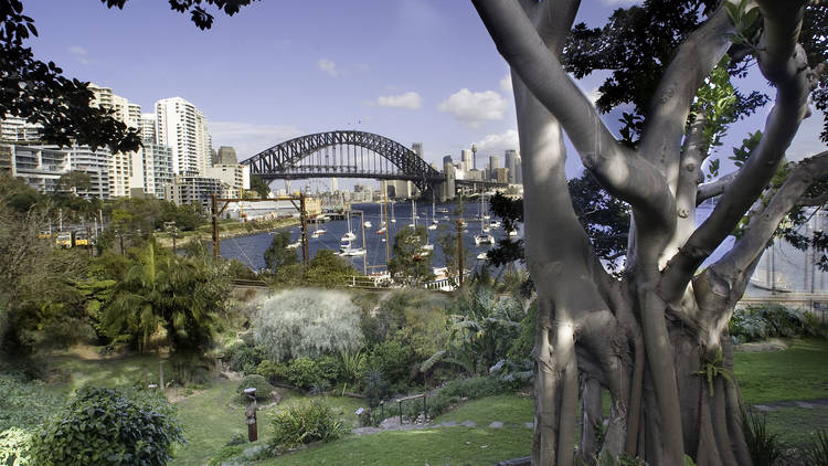 A wide shot of at Wendy's Secret Garden overlooking all of the p