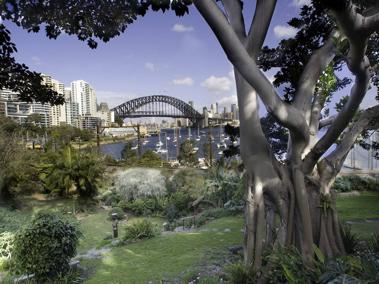 The 15 Best Things to do in Sydney, Australia – Wandering Wheatleys