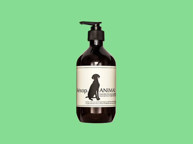 Christmas gift guide: pets Christmas gift guide: pets