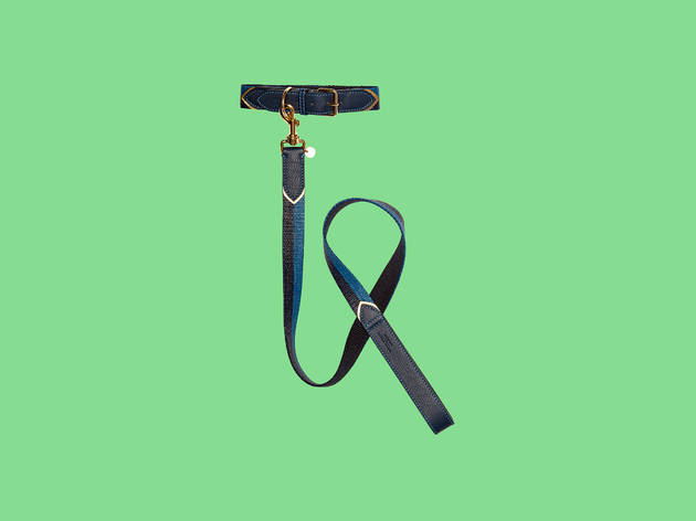 Dog lead and collar by Mungo & Maud for Mulberry Dog lead and collar by Mungo & Maud for Mulberry
