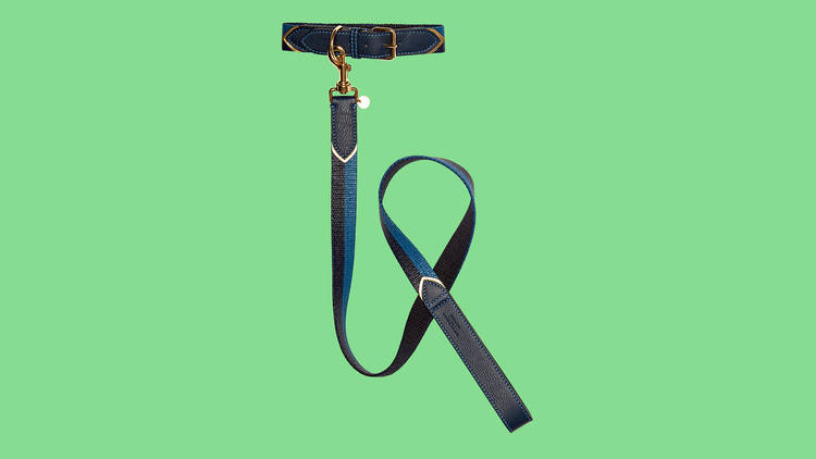 Dog lead and collar by Mungo & Maud for Mulberry