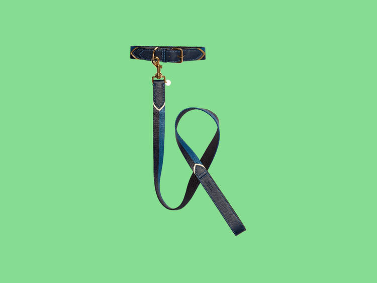 Dog lead and collar by Mungo & Maud for Mulberry