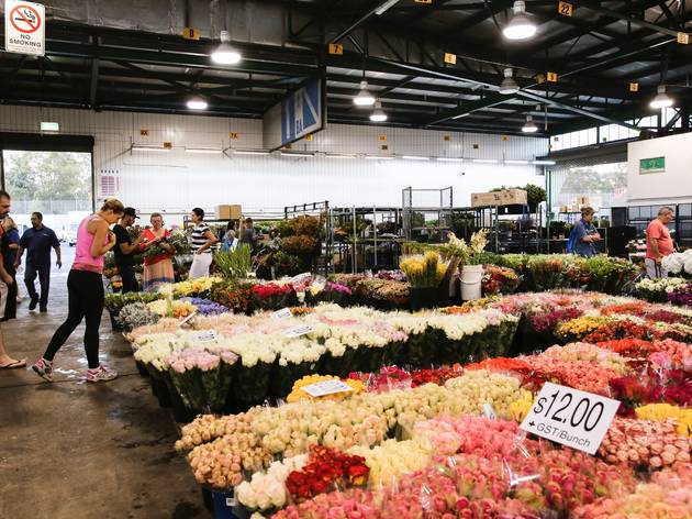 Sydney Flower Market | Shopping in Homebush West, Sydney