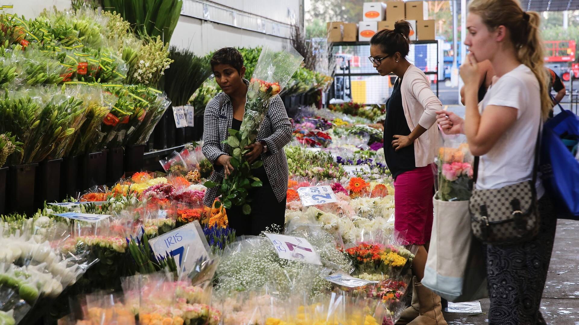 Sydney Flower Market Shopping in Homebush West, Sydney