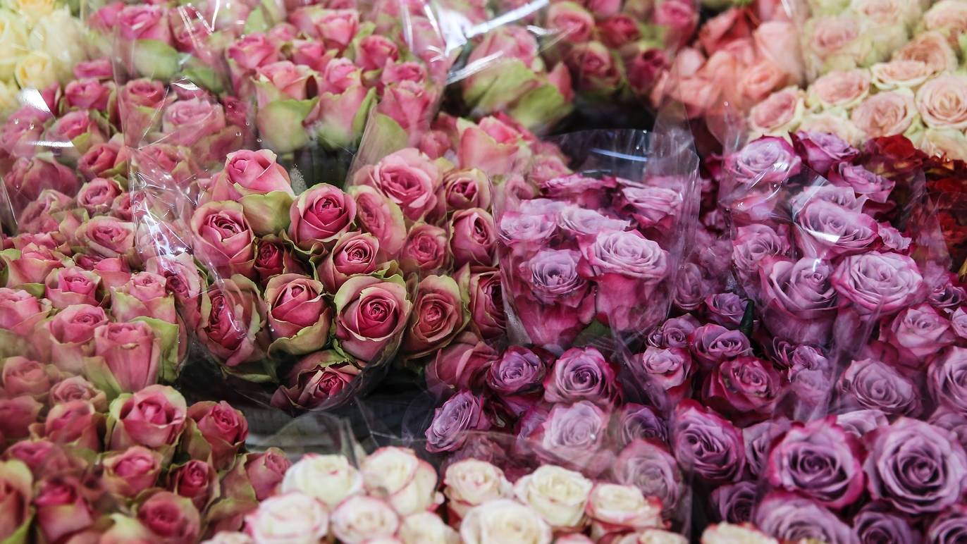 Sydney Flower Market Shopping in Homebush West, Sydney