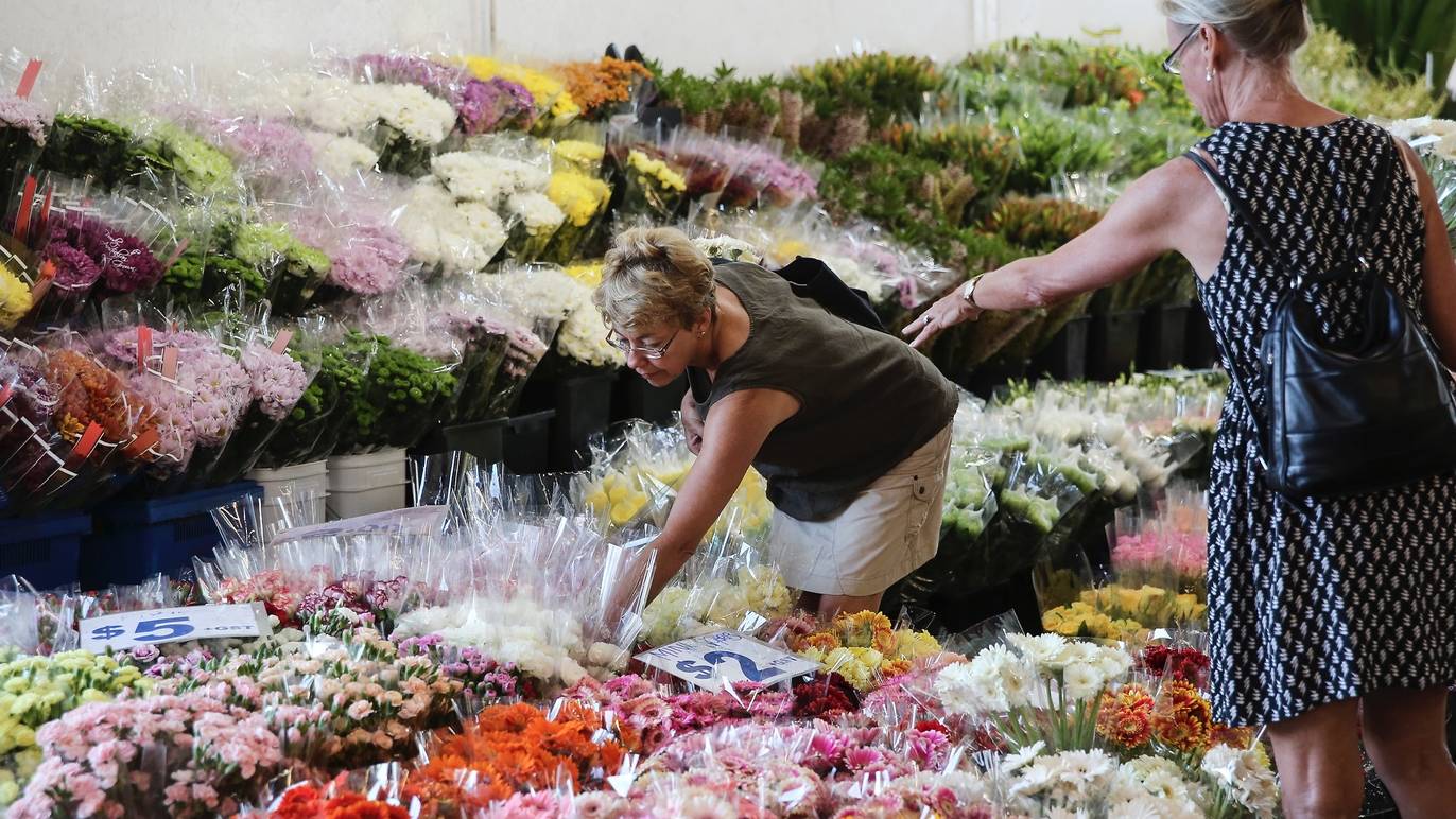 Sydney Flower Market Shopping in Homebush West, Sydney