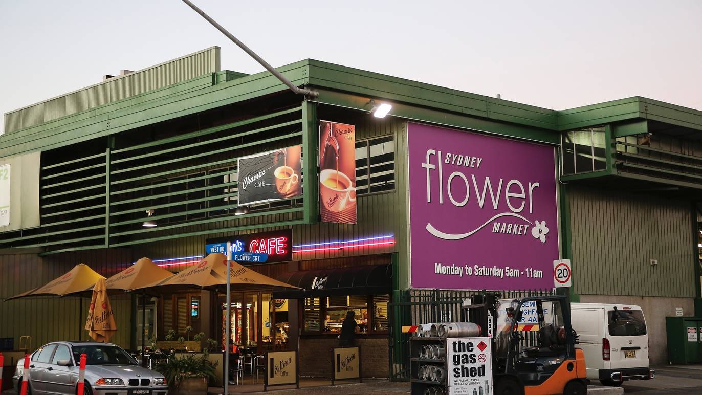 Sydney Flower Market Shopping in Homebush West, Sydney