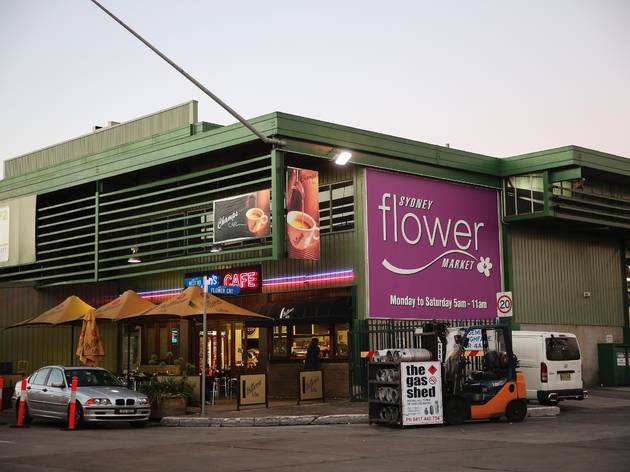 Sydney Flower Markets Flemington Opening Hours | Best Flower Site