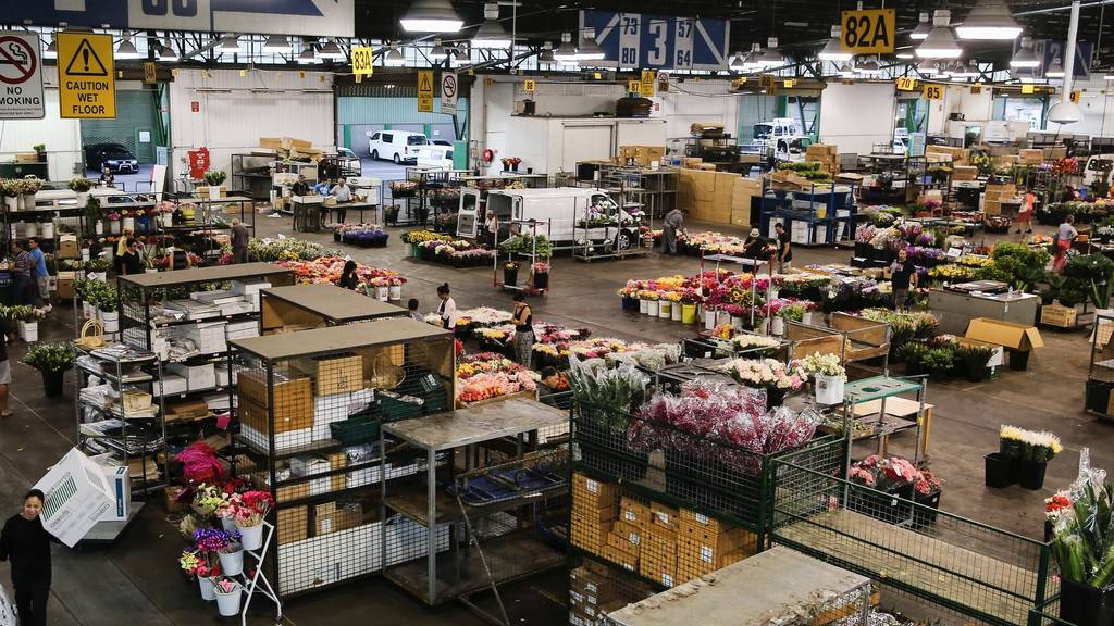 Sydney Flower Market Shopping in Homebush West, Sydney