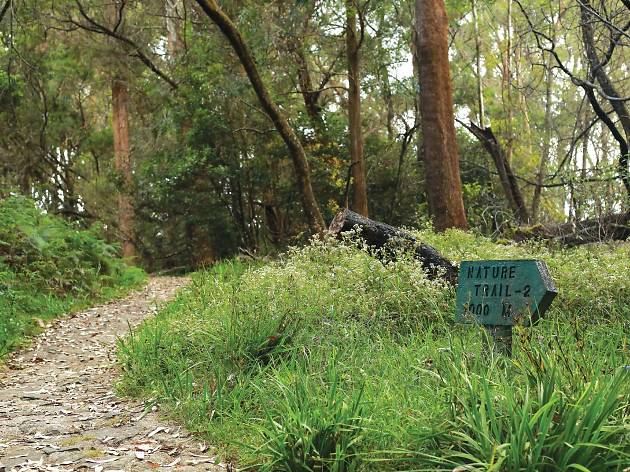 Galway S Land National Park Travel In Nuwara Eliya Sri Lanka