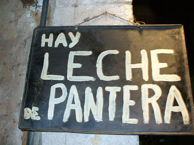 Llet de pantera Llet de pantera