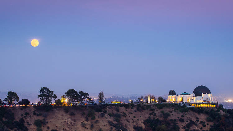 Full Moon Griffith Observatory