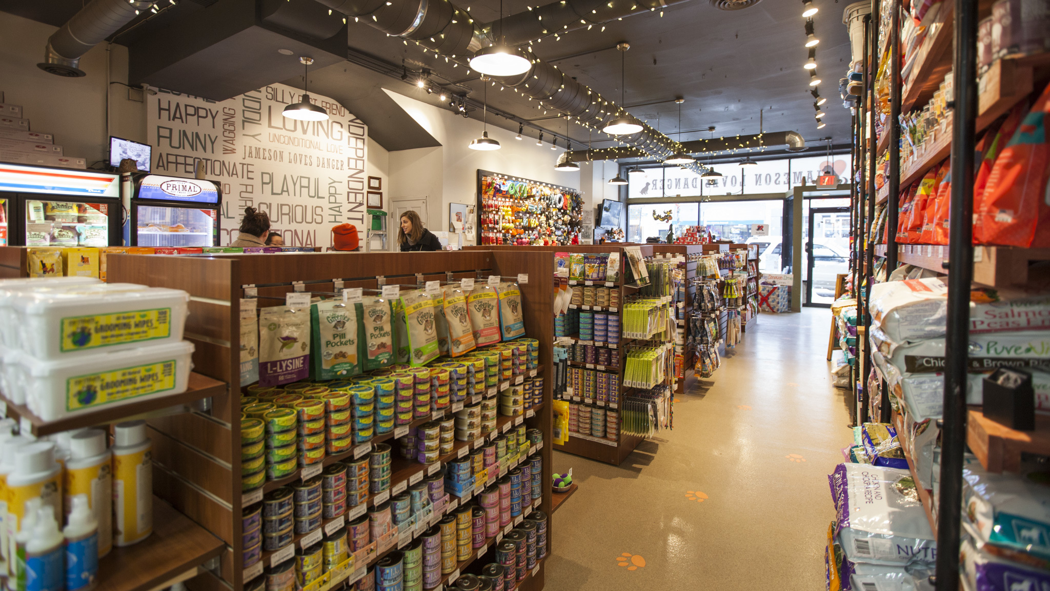 Jameson Loves Danger Shopping in Andersonville, Chicago