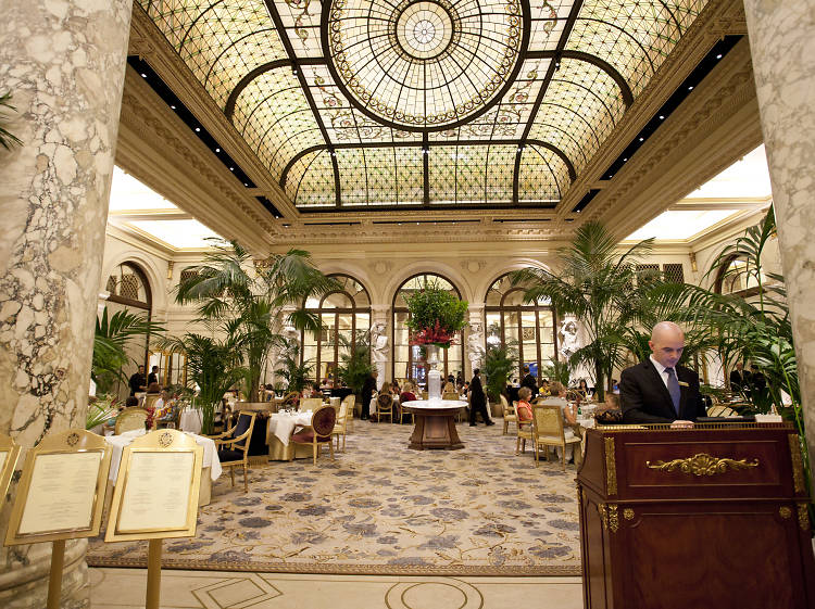 The Palm Court at The Plaza