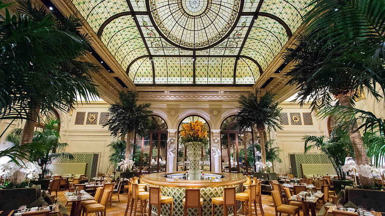 The Palm Court, The Plaza