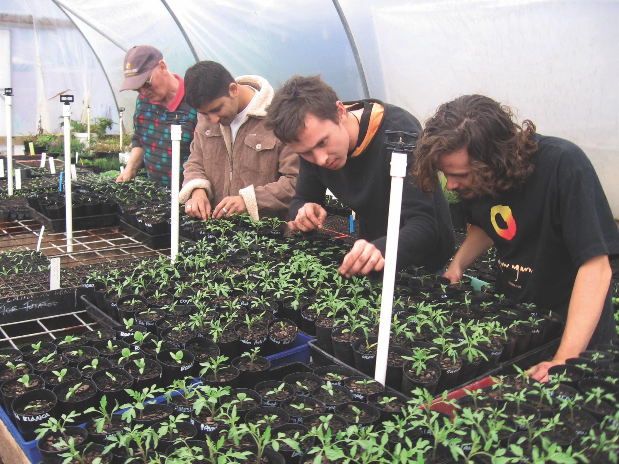 Men gardening at Ceres