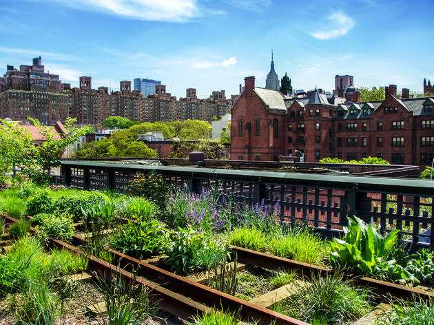 High Line High Line