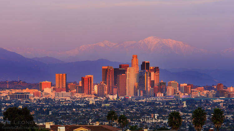 Los Angeles Skyline